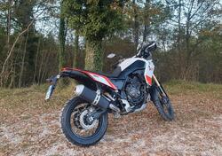 Yamaha Ténéré 700 Rally Edition (2021) usata