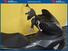 Honda PCX 125 (2021 - 24) (8)
