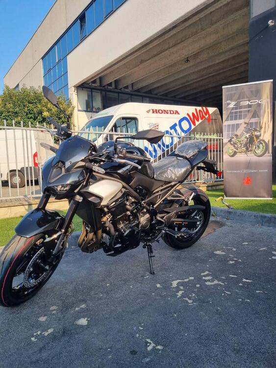 Kawasaki Z 900 (2025) (3)