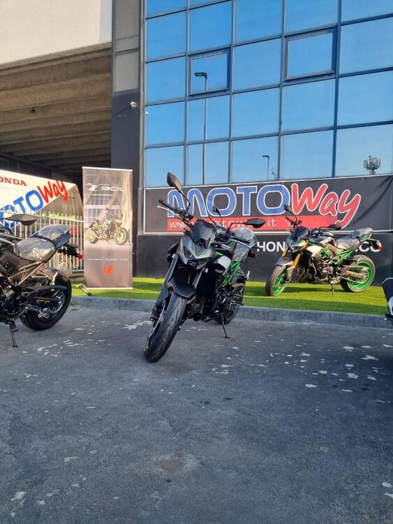 Kawasaki Z 900 (2025) (4)
