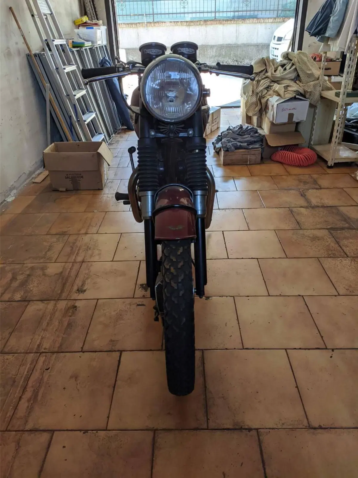 Triumph bonneville (3)