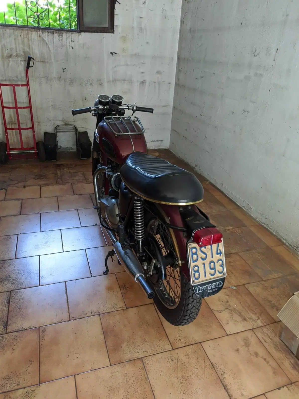 Triumph bonneville (6)