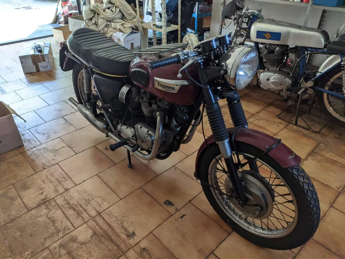 Triumph bonneville (7)