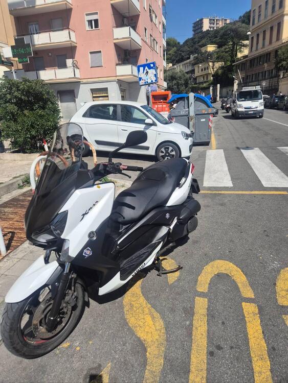 Yamaha X-Max 250 (2014 - 16) (3)