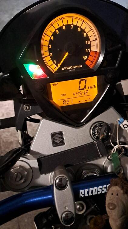 Suzuki SV 650 (2003 - 06) (2)