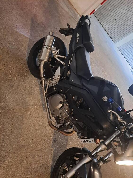 Suzuki SV 650 (2003 - 06) (4)
