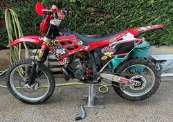 GASGAS EC 250 (2006 - 07) usata