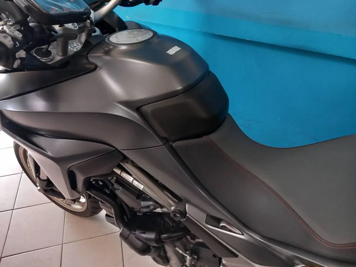 Ducati Multistrada 1260 S (2018 - 20) (9)