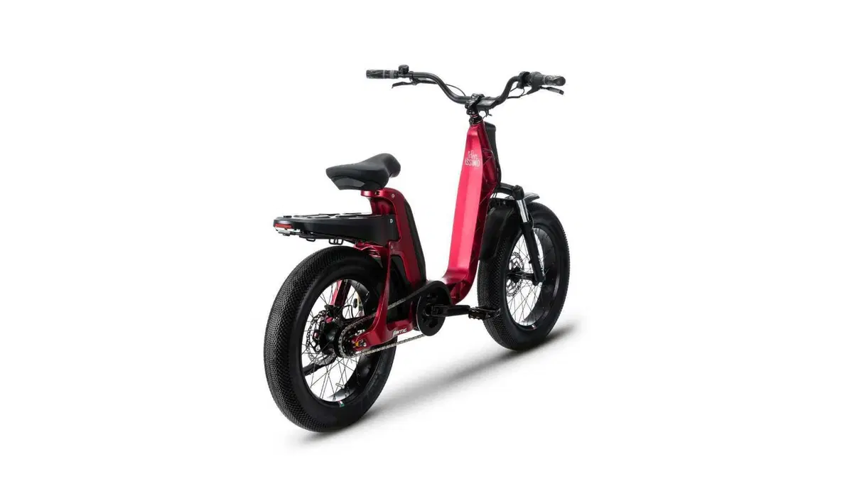Fantic Motor Issimo Issimo 25 Urban (2022 - 26) (3)
