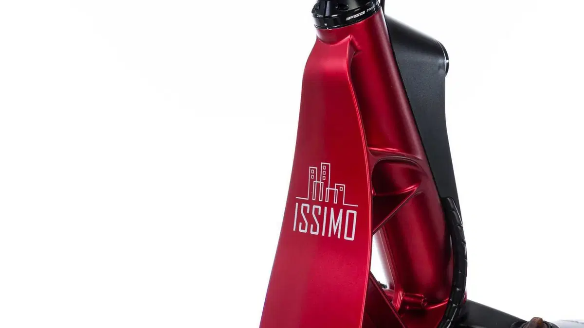 Fantic Motor Issimo Issimo 25 Urban (2022 - 26) (14)