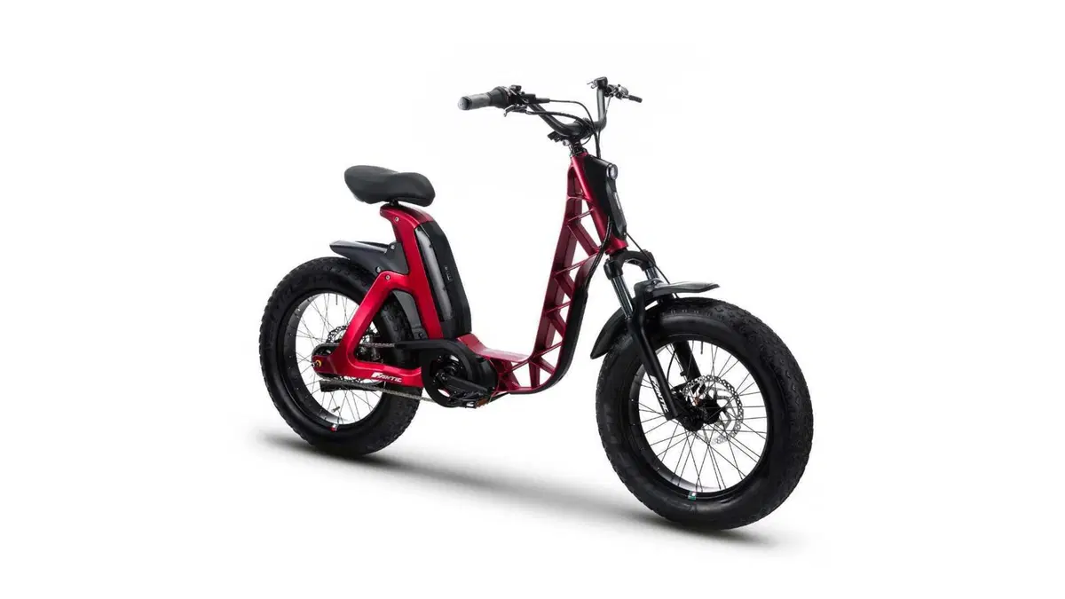 Fantic Motor Issimo Issimo 25 Fun (2022 - 26)