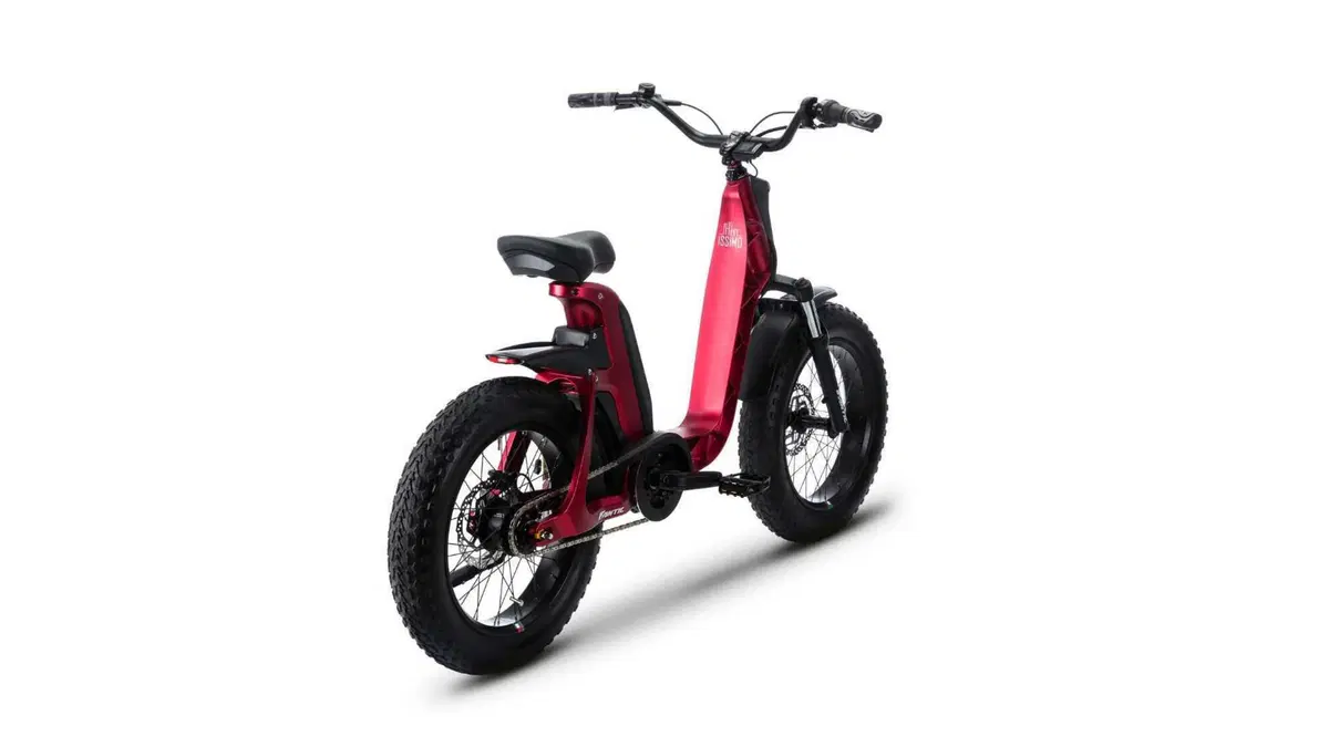 Fantic Motor Issimo Issimo 25 Fun (2022 - 26) (3)