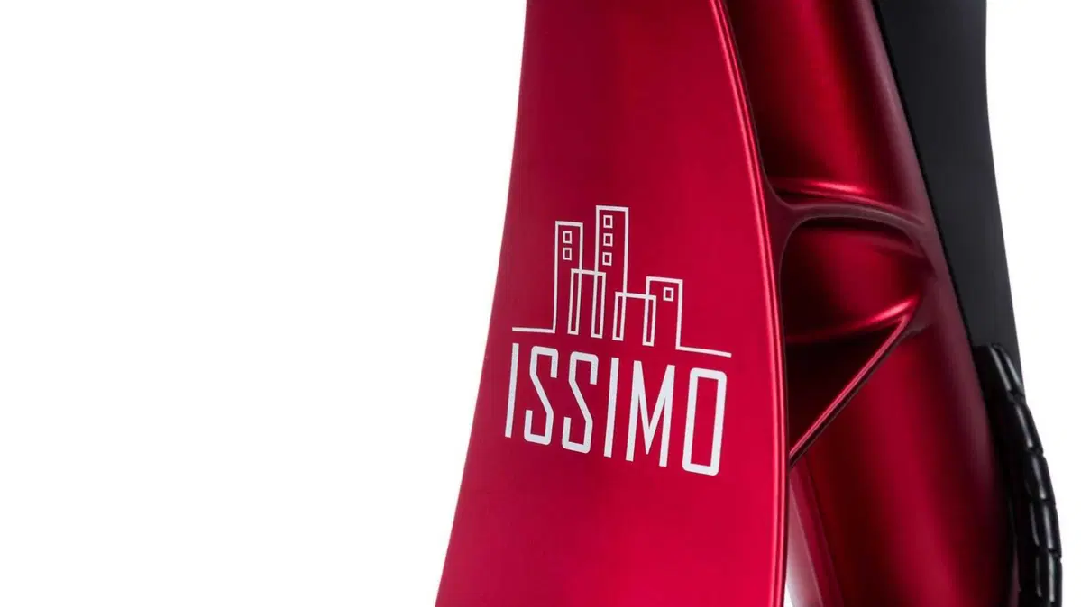 Fantic Motor Issimo Issimo 25 Fun (2022 - 26) (15)