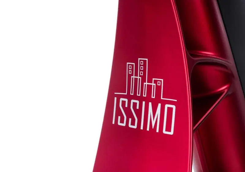 Fantic Motor Issimo Issimo 25 Fun (2022 - 26) (15)