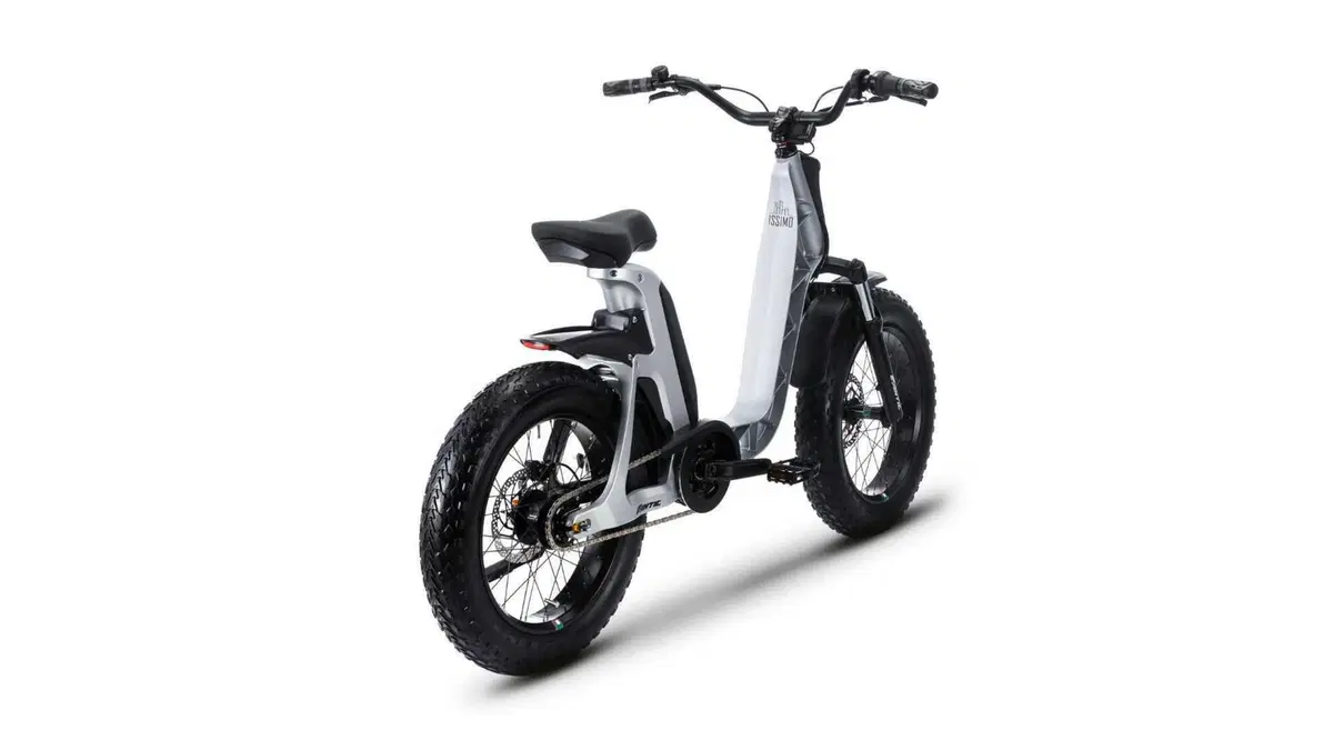 Fantic Motor Issimo Issimo 25 Fun (2022 - 26) (6)