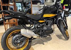 Royal Enfield Himalayan 450 (2024 - 25) usata