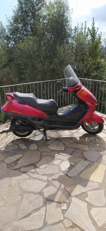 Honda Foresight (1998 - 2004) (2)