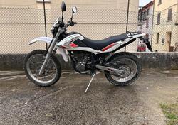 Betamotor Alp 4.0 (2008 - 17) usata