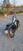 Honda VT 600 C Shadow (1989 - 98) (6)