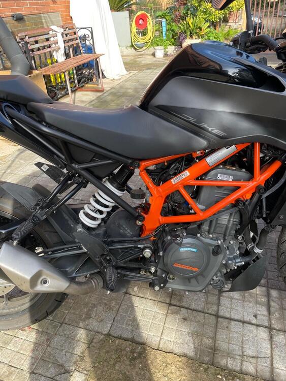 KTM 390 Duke (2021 - 23) (3)