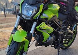 Benelli BN 125 (2021 - 25) usata