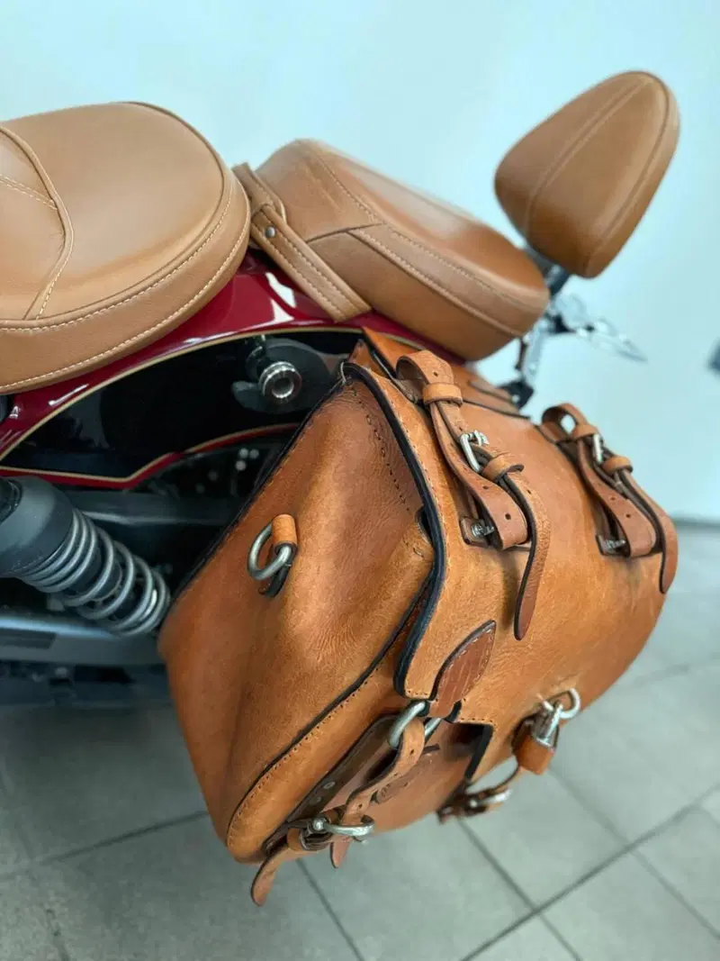 Indian Scout 1133 (2017 - 19) (7)