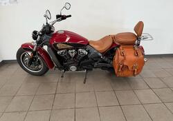 Indian Scout 1133 (2017 - 19) usata