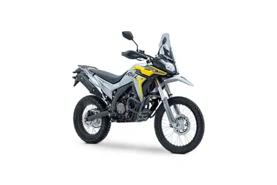 Voge Valico 300 Rally (2022 - 26) nuova