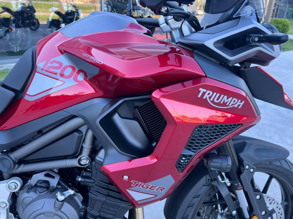 Triumph Tiger 1200 GT Pro (2024 - 25) (4)