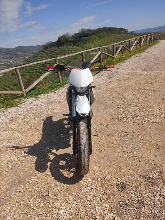 Betamotor RR 50 Motard (2006) (4)