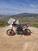 Betamotor RR 50 Motard (2006) (12)
