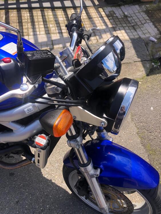 Suzuki SV 650 (1999 - 02) (4)