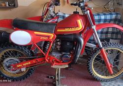 Maico GS-MC 250 usata