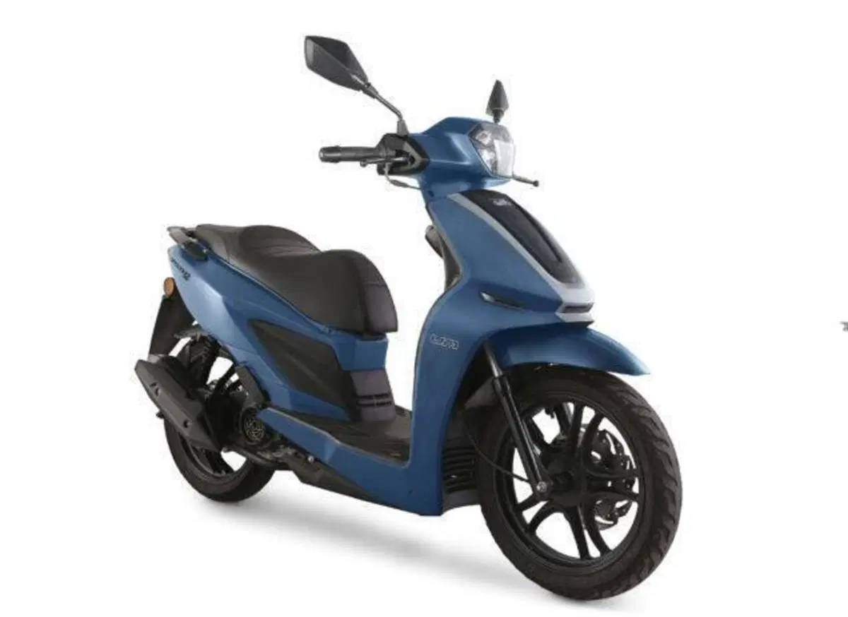 Um Italia Wynwood 125 (2025 - 26) (3)