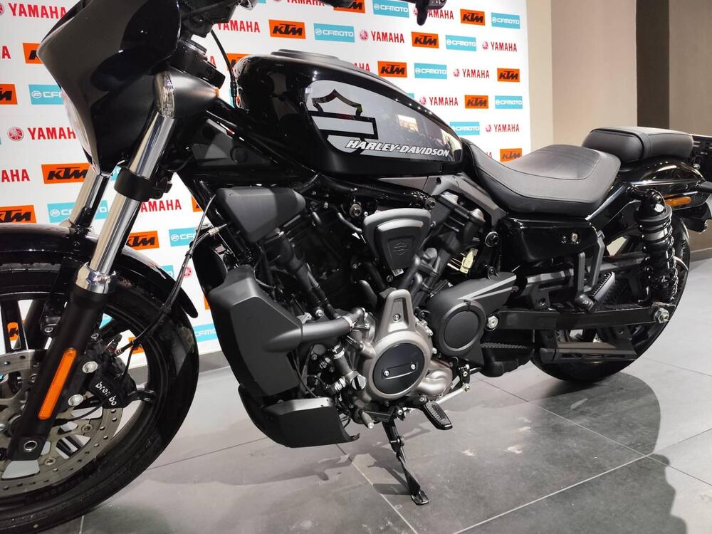 Harley-Davidson Nightster (2023 - 25) (2)