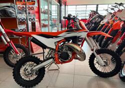 KTM 50 SX (2024 - 25) nuova