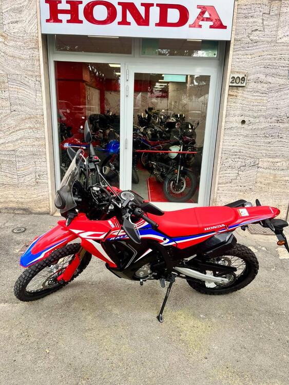 Honda CRF 300 Rally (2021 - 24) (2)