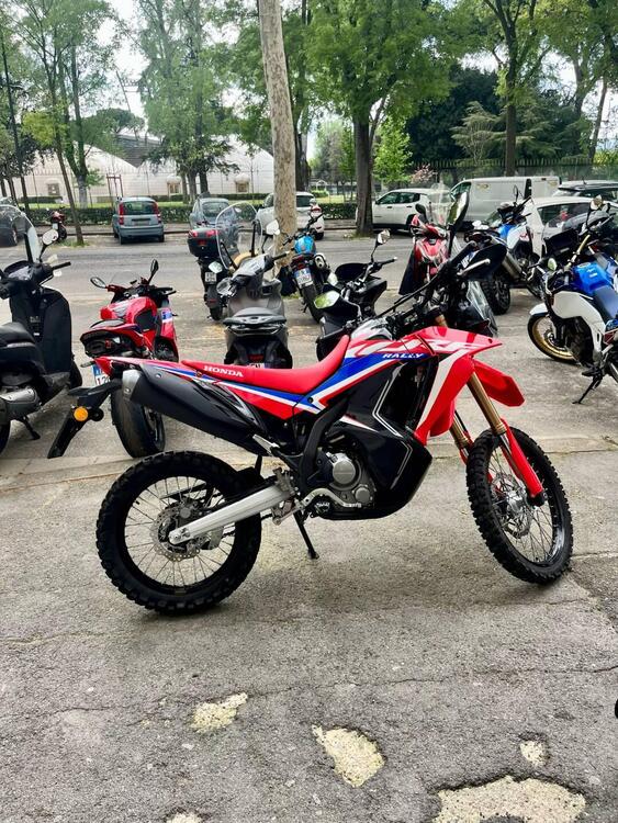Honda CRF 300 Rally (2021 - 24)