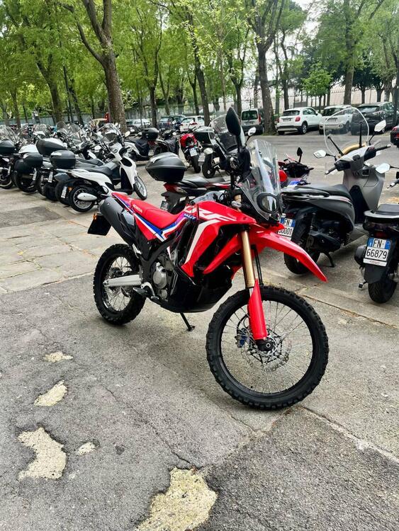 Honda CRF 300 Rally (2021 - 24) (4)