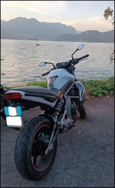 Kawasaki ER-6N (2009 - 11) (4)