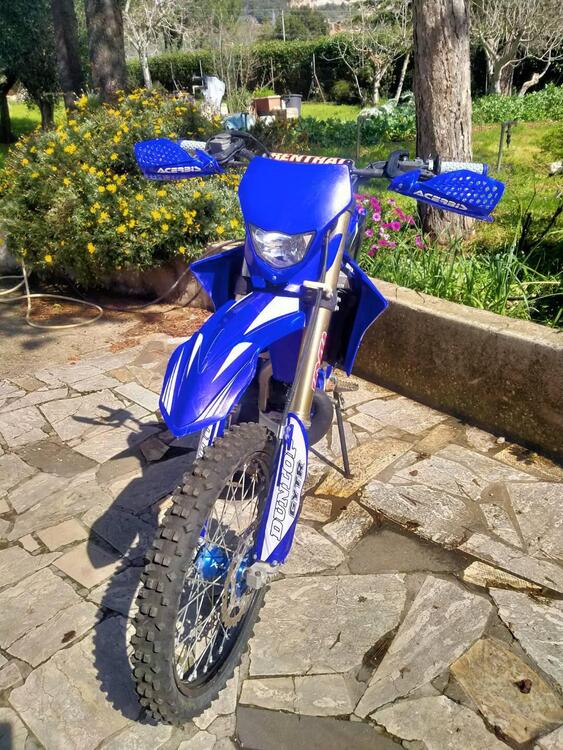 Yamaha YZ 250 (2015) (4)