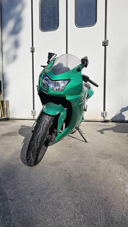 Kawasaki Ninja 250 R (2007 - 13) (3)