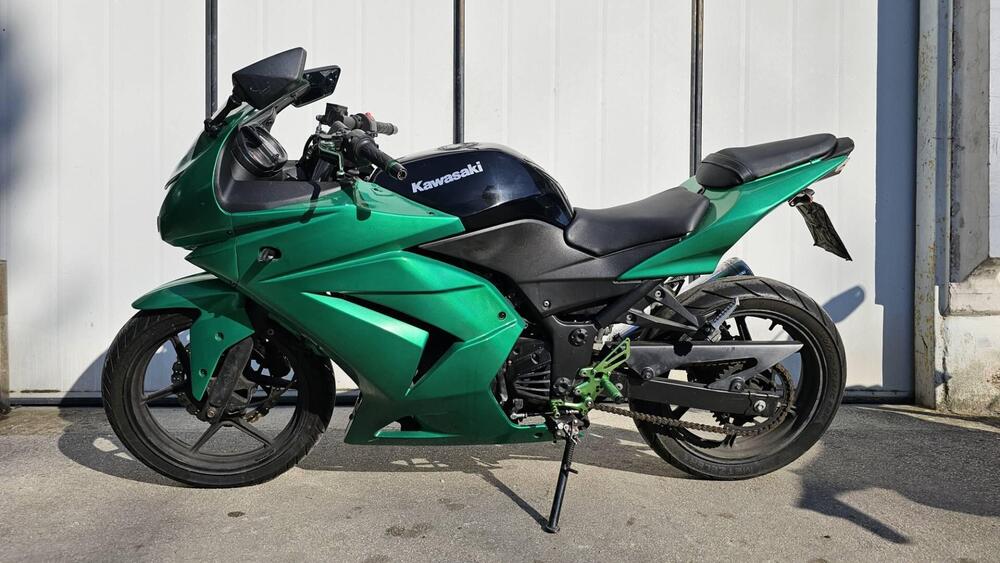 Kawasaki Ninja 250 R (2007 - 13) (2)