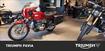 Bmw R 80 (1984 - 94) (7)