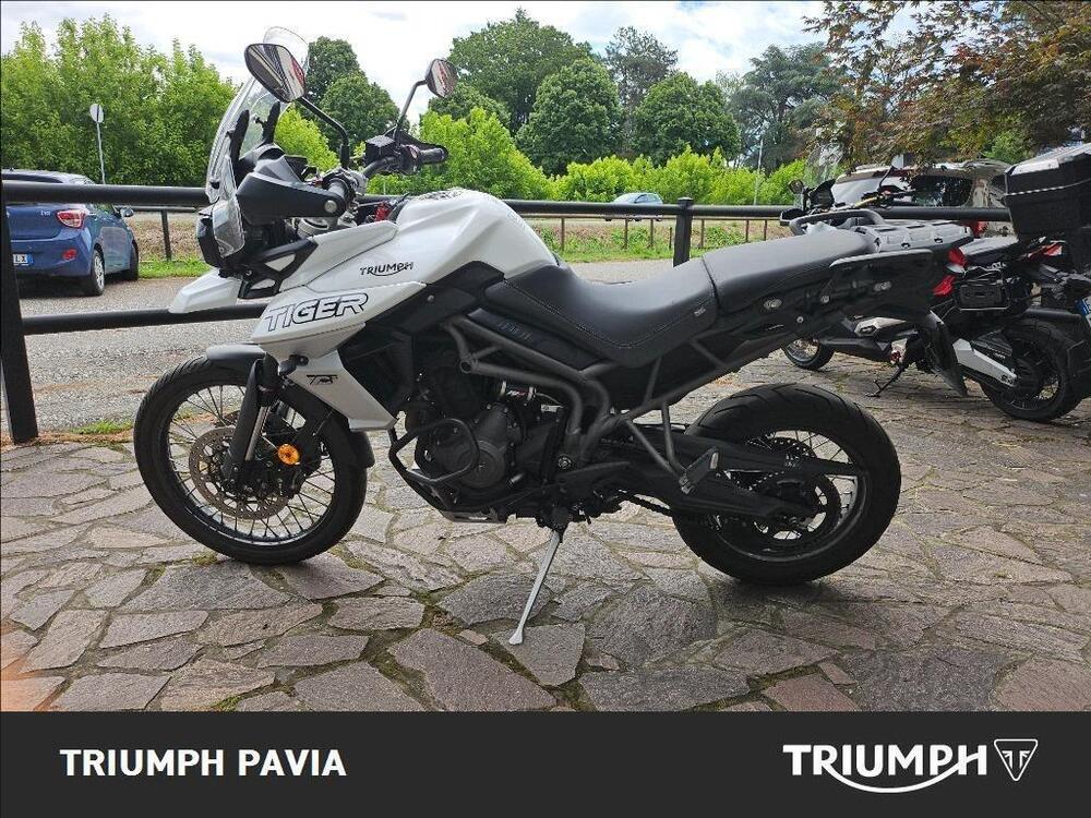 Triumph Tiger 800 XCx (2018 - 20) (2)