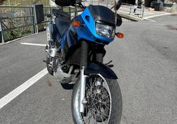 Kawasaki KLE 500 (2001 - 04) usata