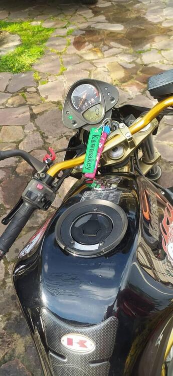 Kawasaki ER-6N (2005 - 08) (2)