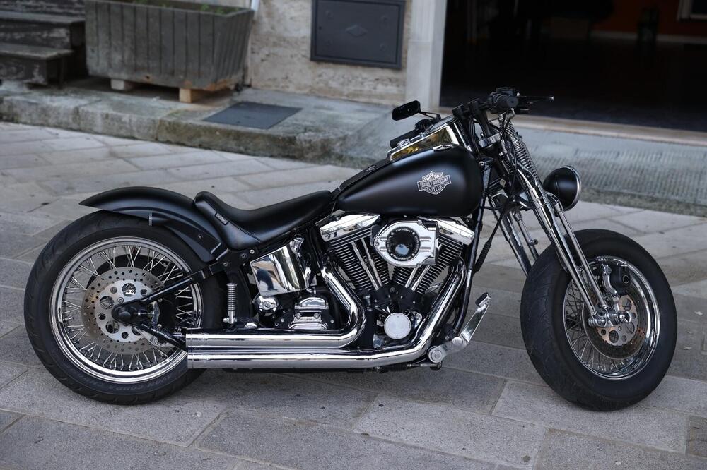 Harley-Davidson 1340 Springer (1990 - 98) - FXSTS (2)