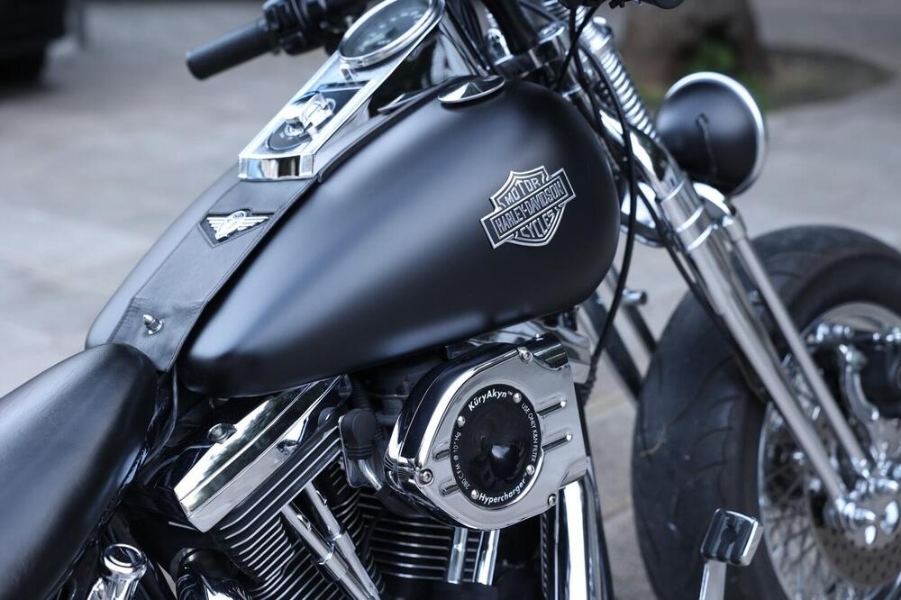 Harley-Davidson 1340 Springer (1990 - 98) - FXSTS (3)