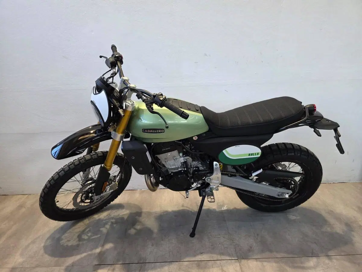 Fantic Motor Caballero 500 Rally (2025 - 26) (2)
